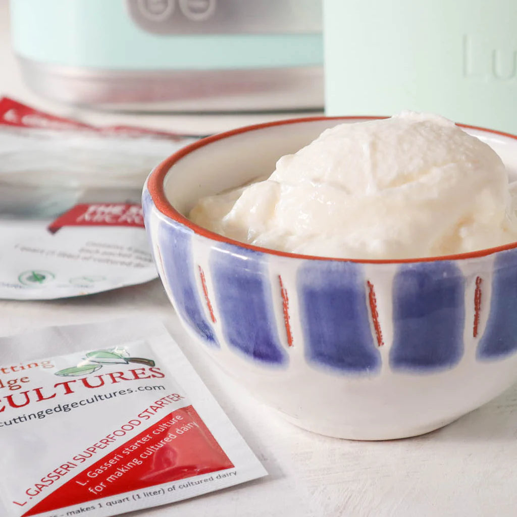 How to make yogurt with Lactobacillus Gasseri