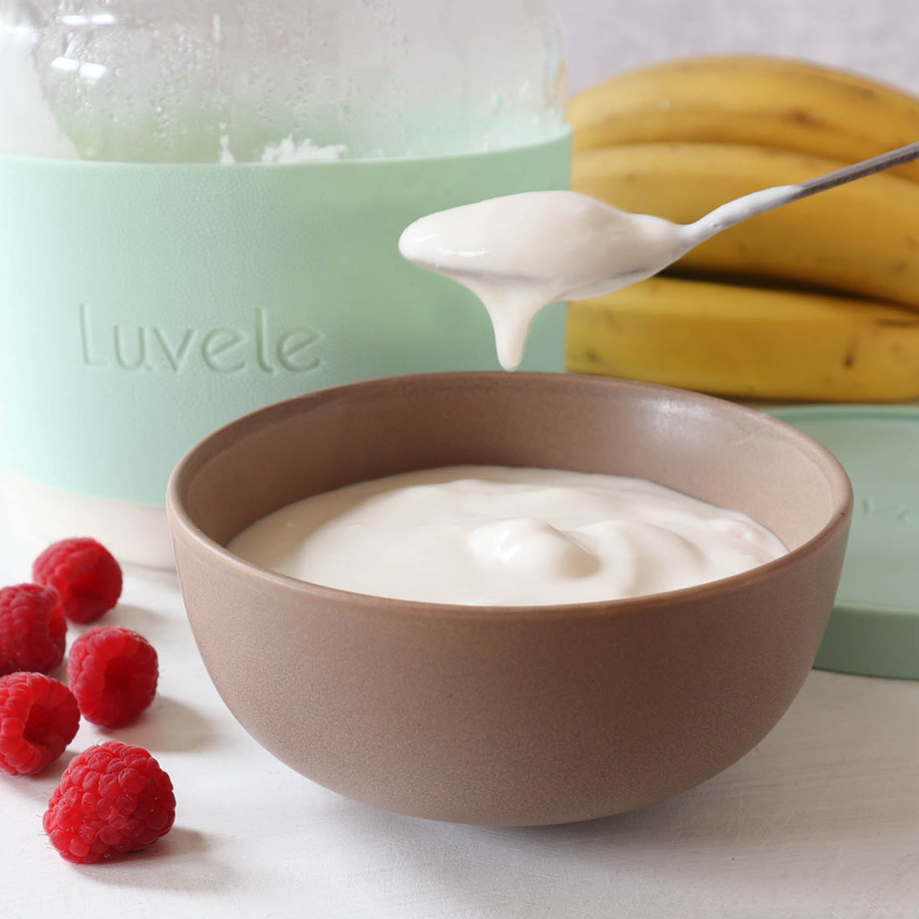 SCD & GAPS coconut yoghurt recipe