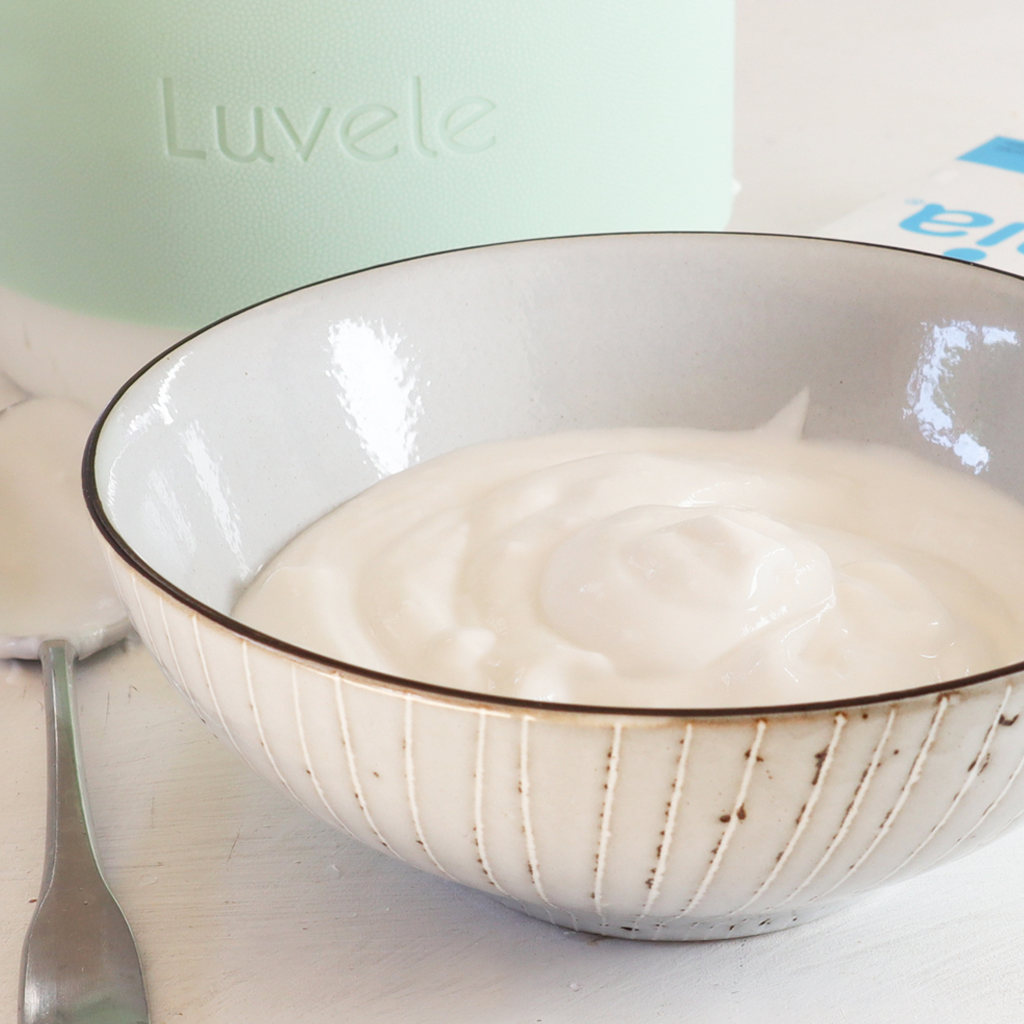 L.Reuteri coconut yoghurt recipe