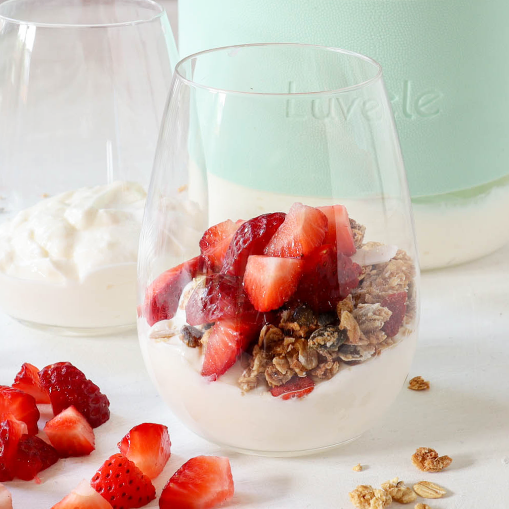 Best greek discount yogurt maker