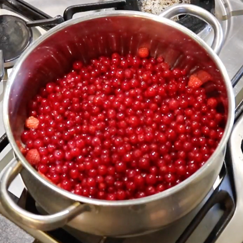 Kay Lawson's Delicious Redcurrant Fruit Roll Ups - Luvele UK