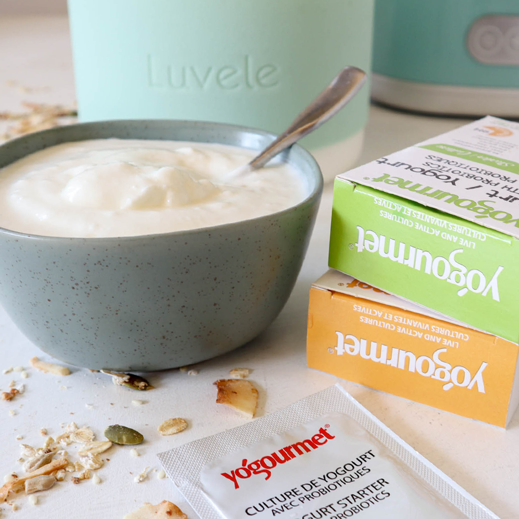 Yoghurt starter cultures recommended for SCD & GAPS
