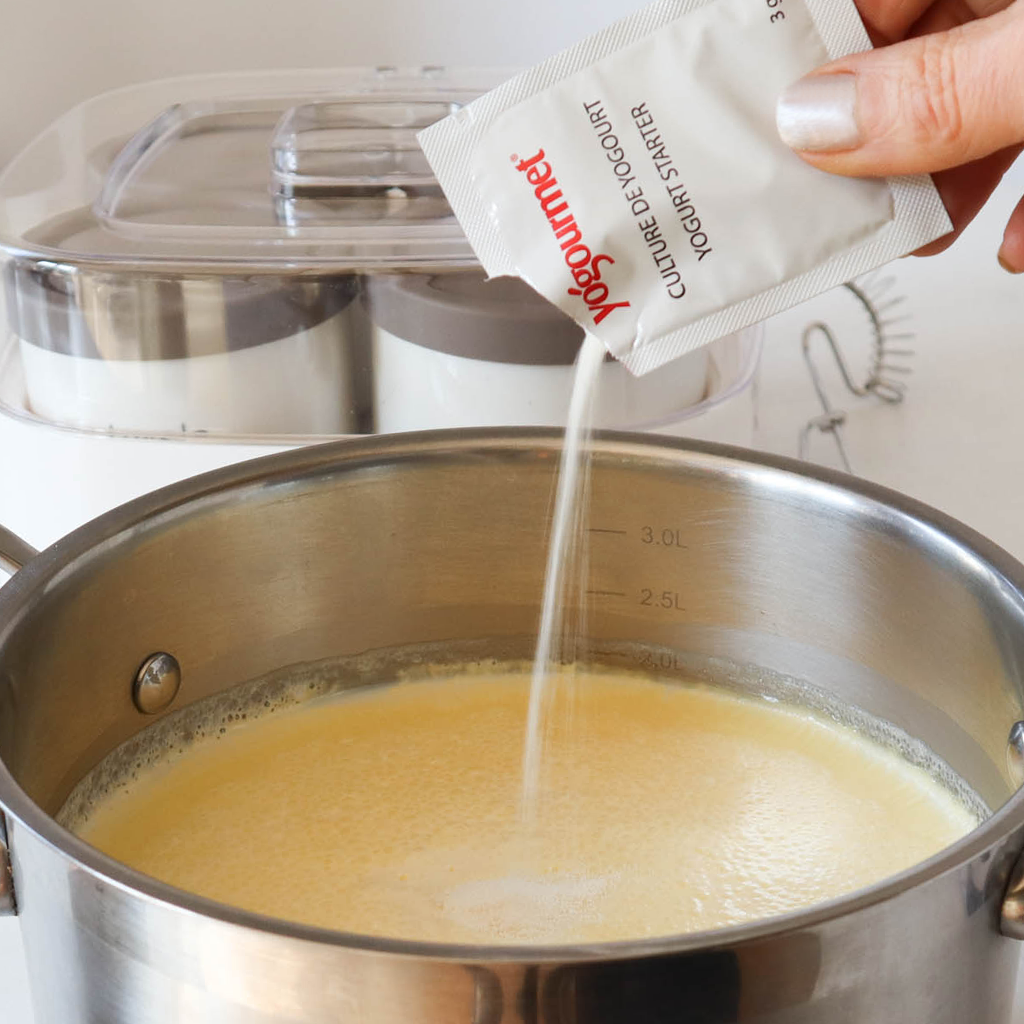 Everything you need to know about yoghurt starter culture Luvele UK